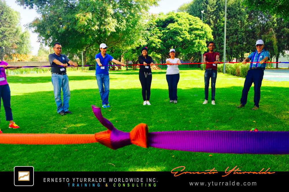Team Building vivencial | Taller de Trabajo en Equipo con Cuerdas Bajas para organizaciones de alto desempeño