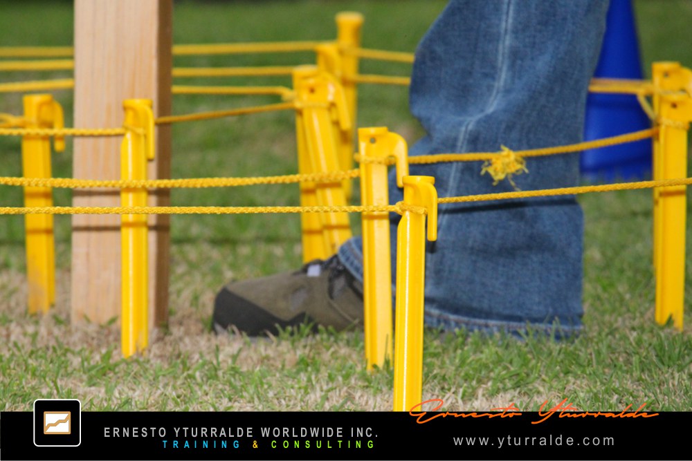 Team Building y Cuerdas Bajas | Talleres corporativos en LATAM