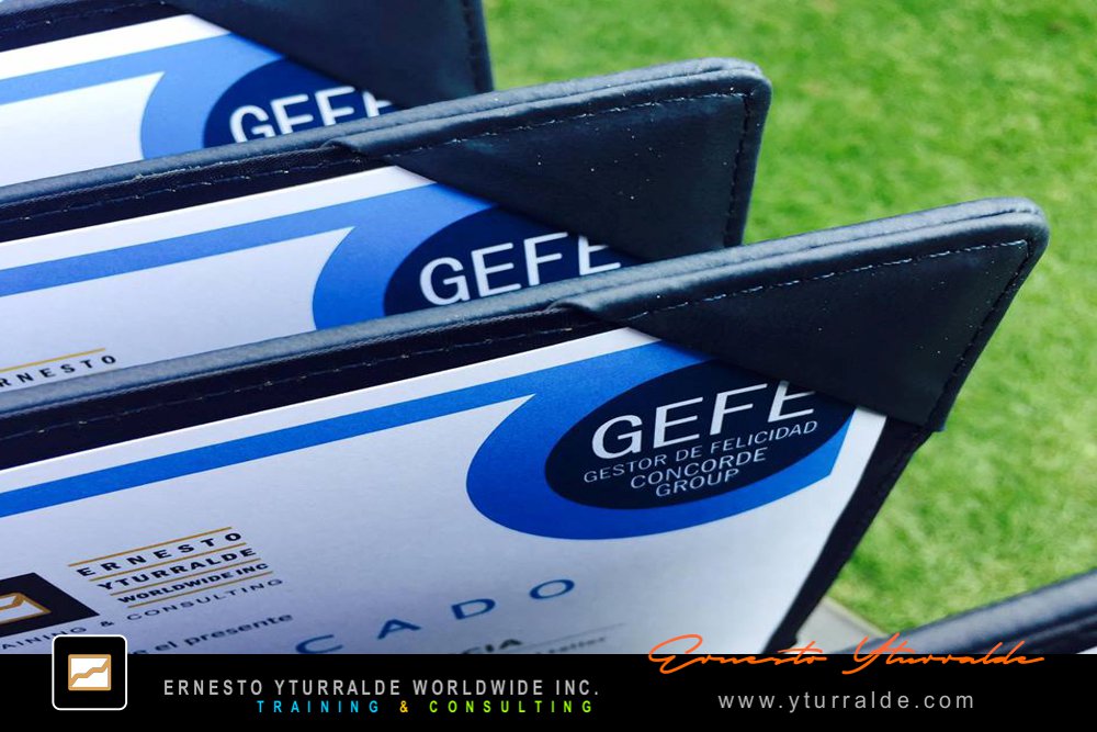 Ropes Courses y Cuerdas Bajas en Team Building | Desarrollo de resiliencia y compromiso en equipos