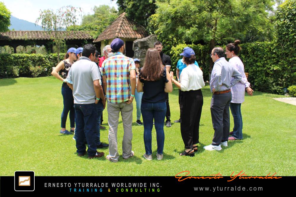 Cuerdas Bajas para organizaciones | Dinámicas de Team Building que impulsan la innovación colectiva